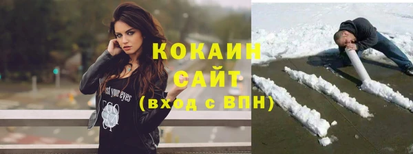 стаф Сосновоборск