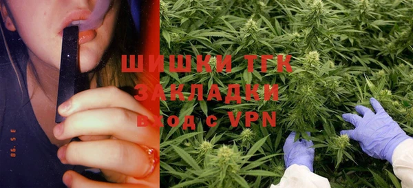 ПСИЛОЦИБИНОВЫЕ ГРИБЫ Богородицк