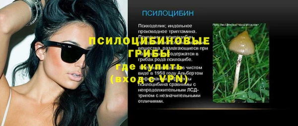 тгк Богданович