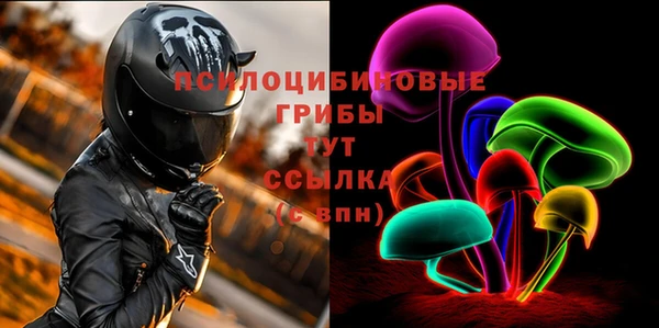 тгк Богданович